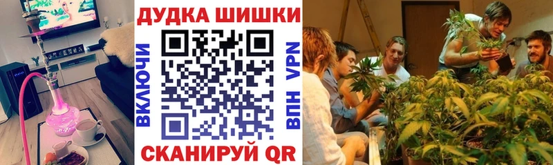 Купить закладку Альфа ПВП  Меф  АМФЕТАМИН  Гашиш  Елизаветинская